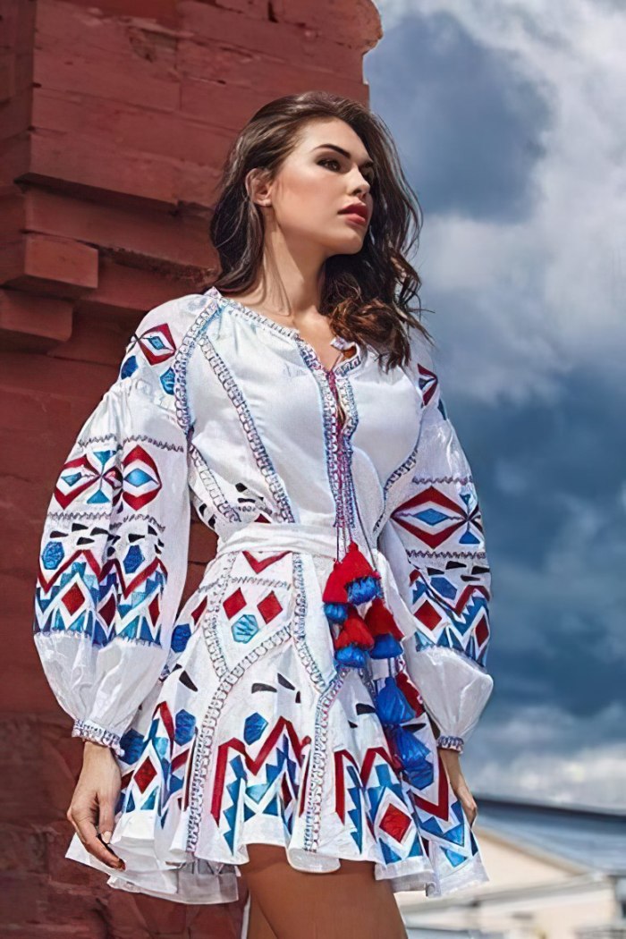 Embroidered Mini dress with puff sleeves XL / Red / Mini Embroidered Mini dress with puff sleeves XL / Red / Mini